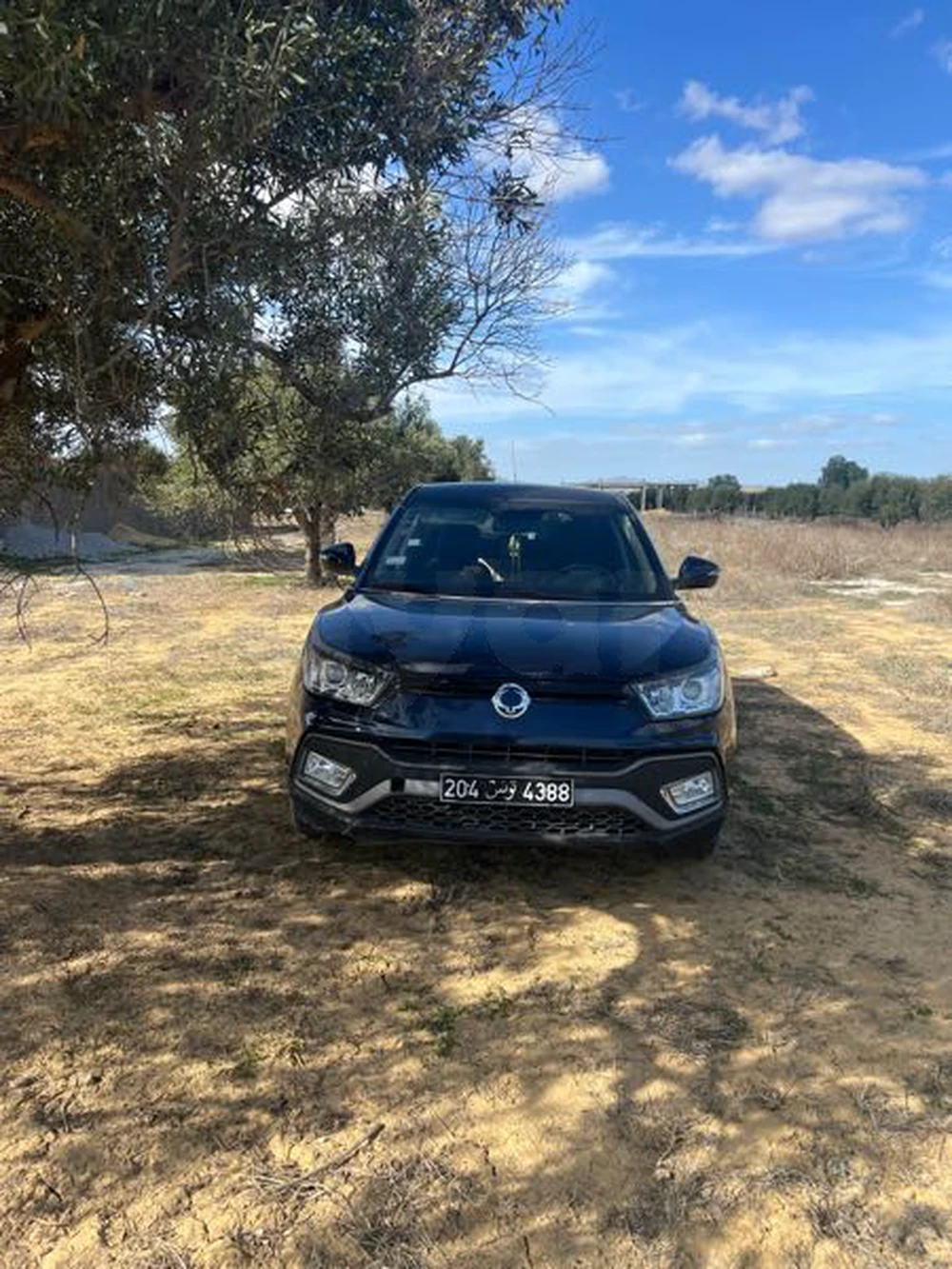 Carte voiture SsangYong Tivoli