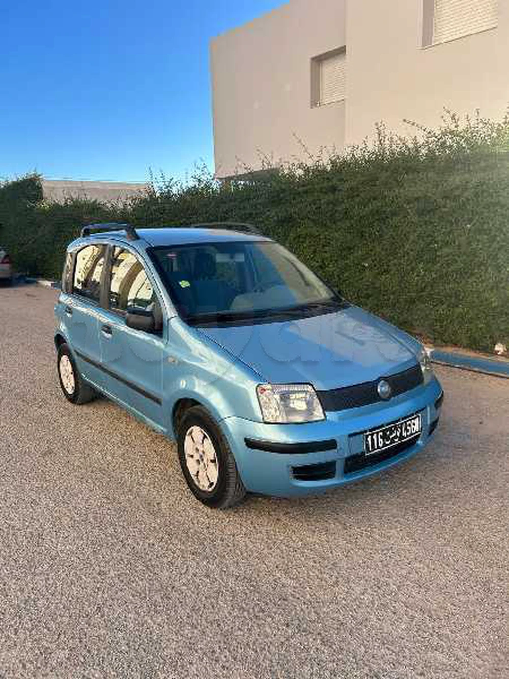 Carte voiture Fiat Panda