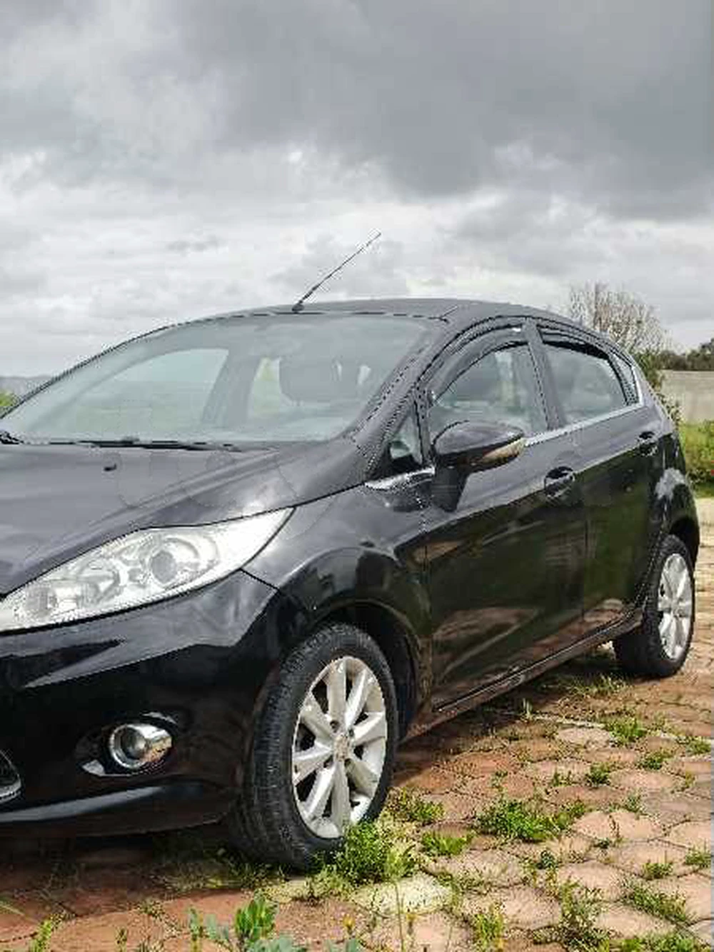 Carte voiture Ford Fiesta