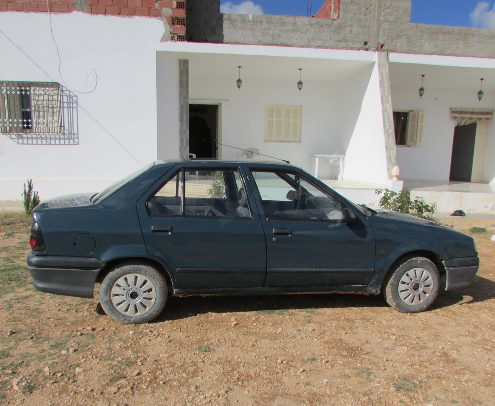 Renault 19