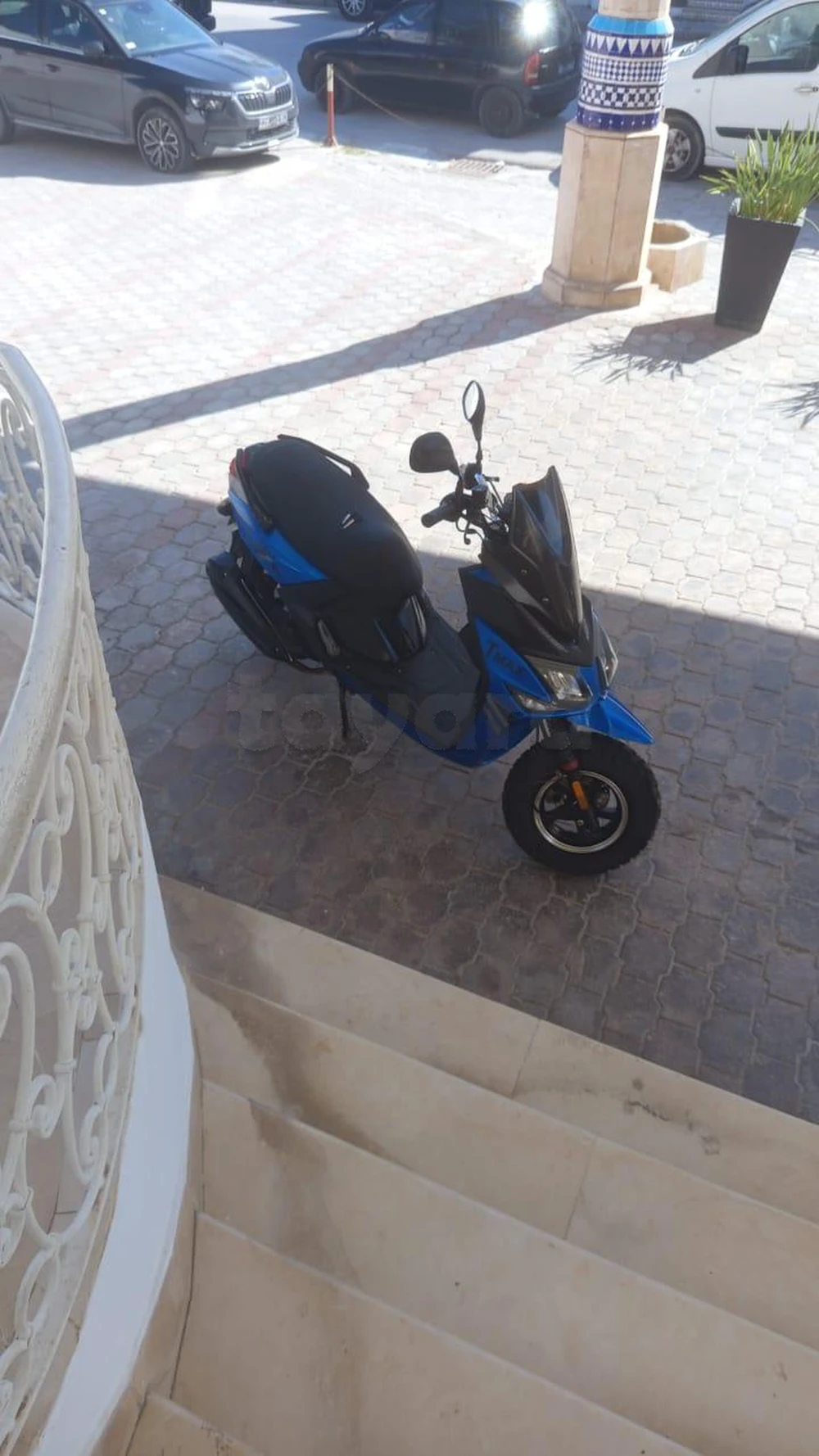 T Max 125 cm