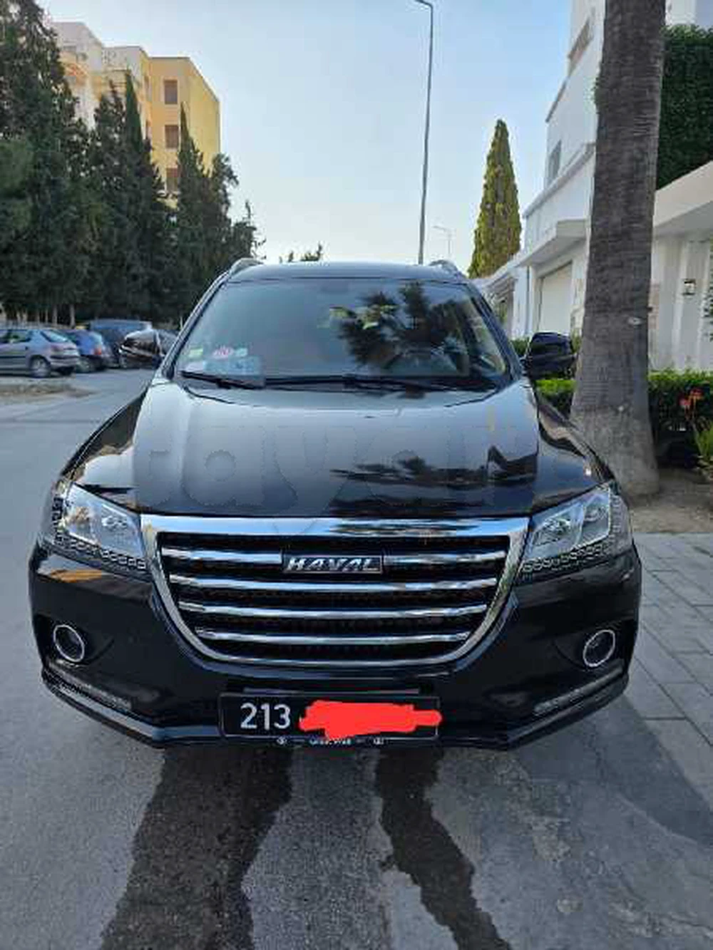 Carte voiture Haval H6