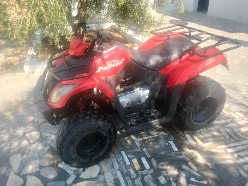 Quad Kymco