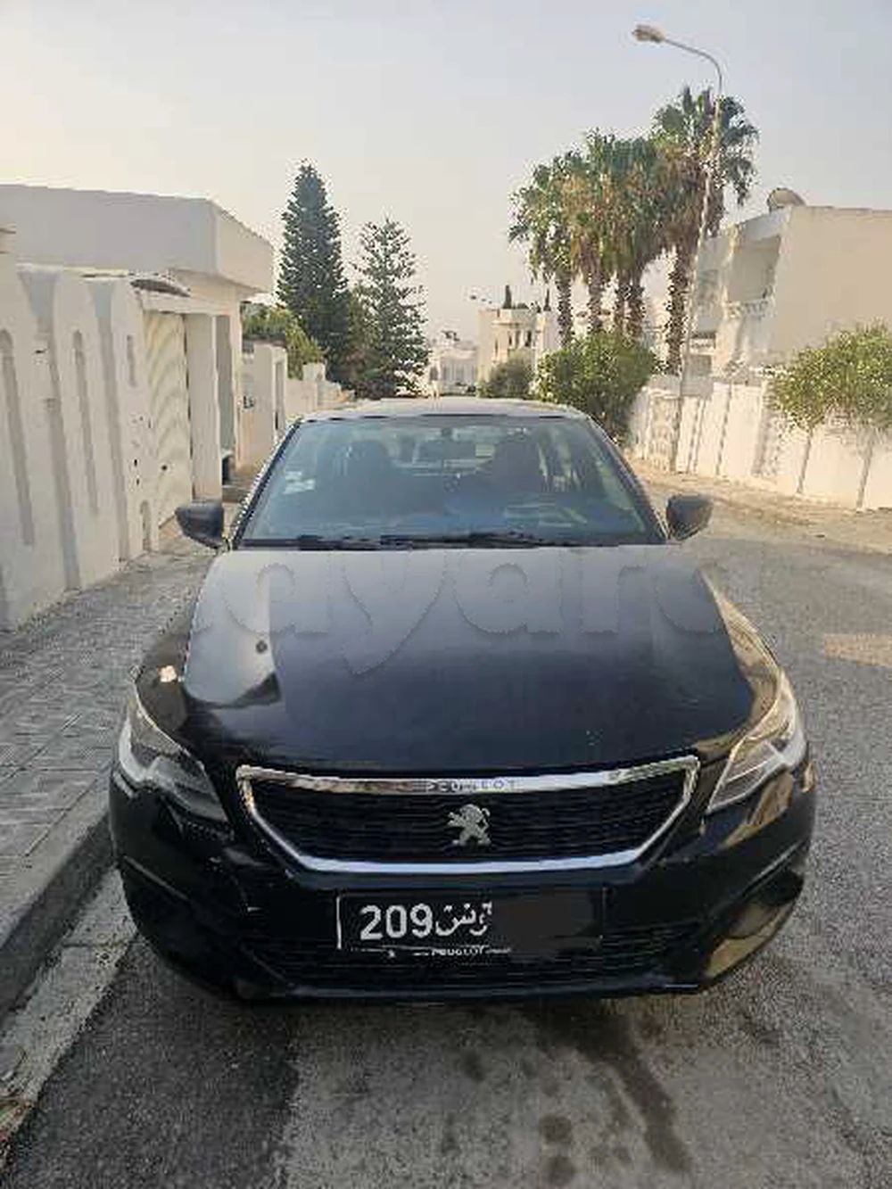 Peugeot 301