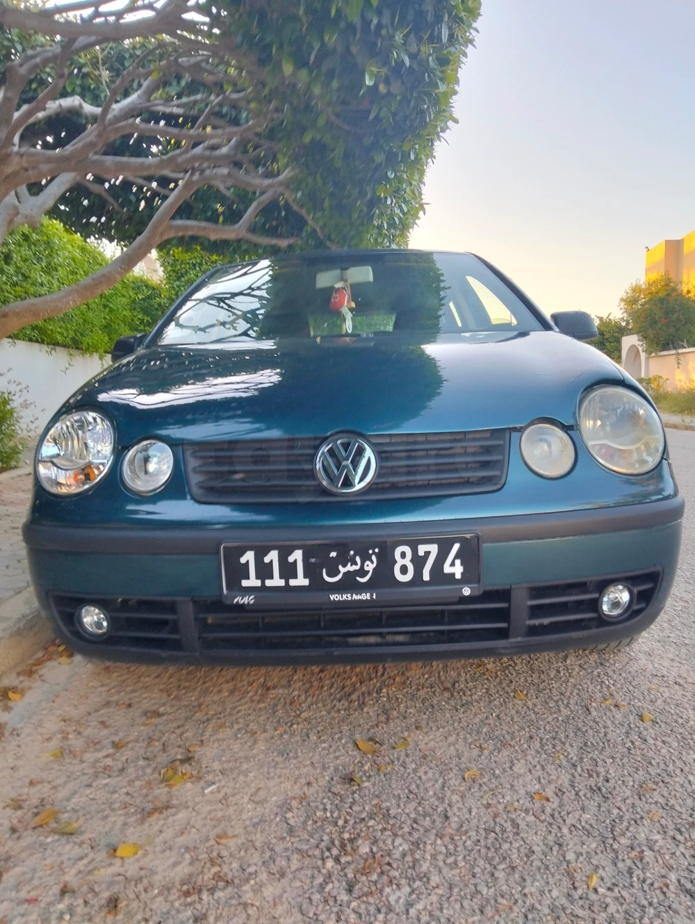 Carte voiture Volkswagen Polo