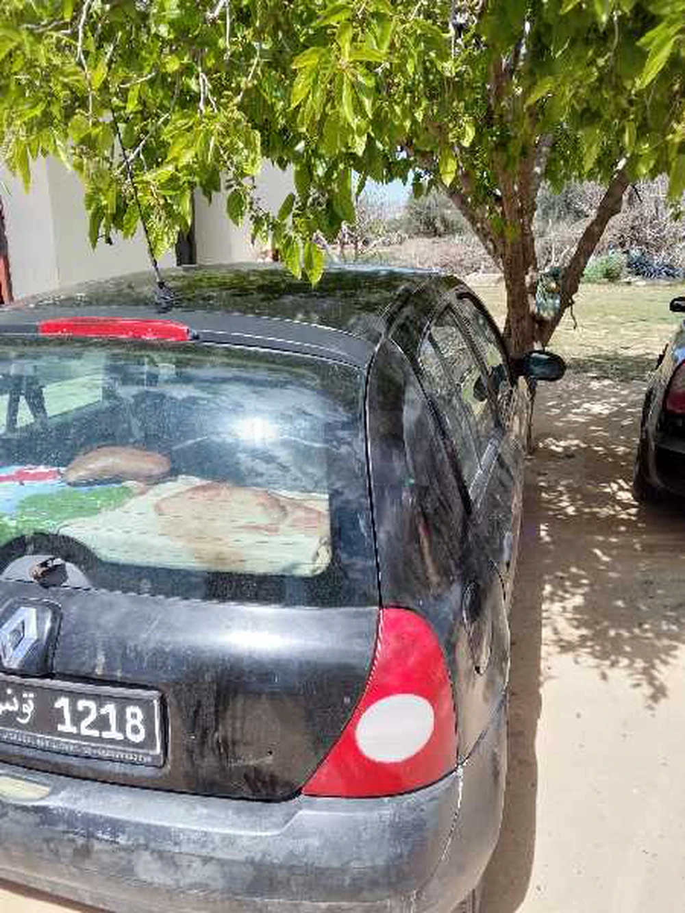 Carte voiture Renault Clio