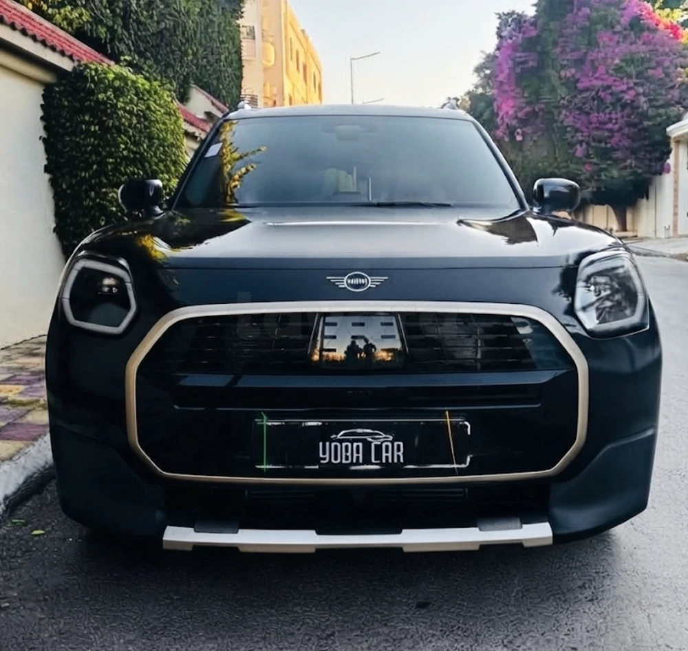 Mini Countryman