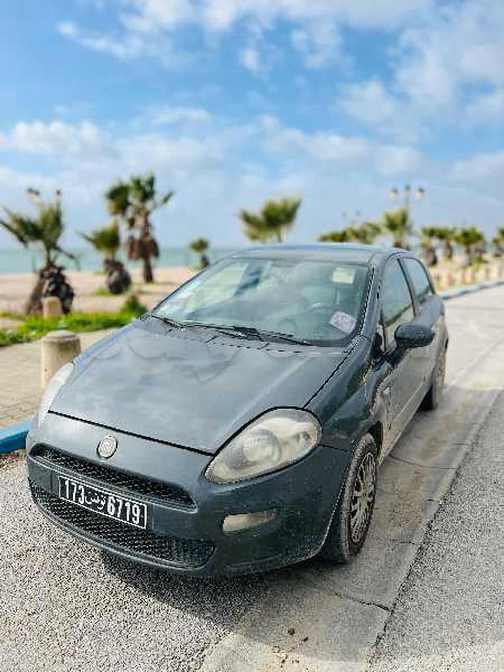 Carte voiture Fiat Punto