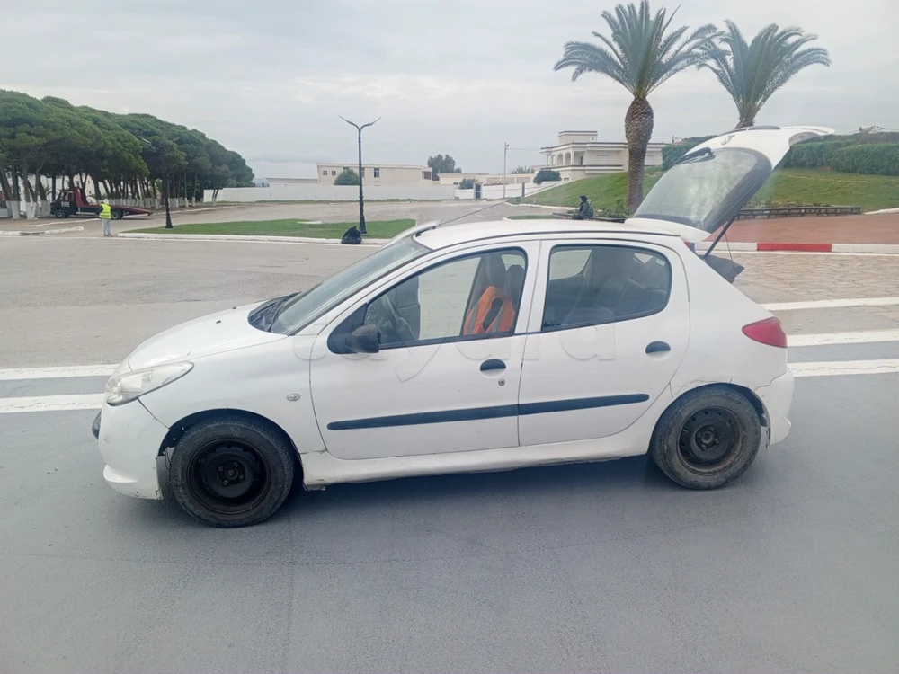 Carte voiture Peugeot 206