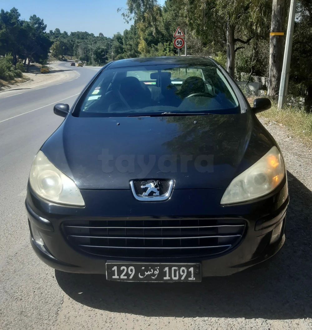 Carte voiture Peugeot 407