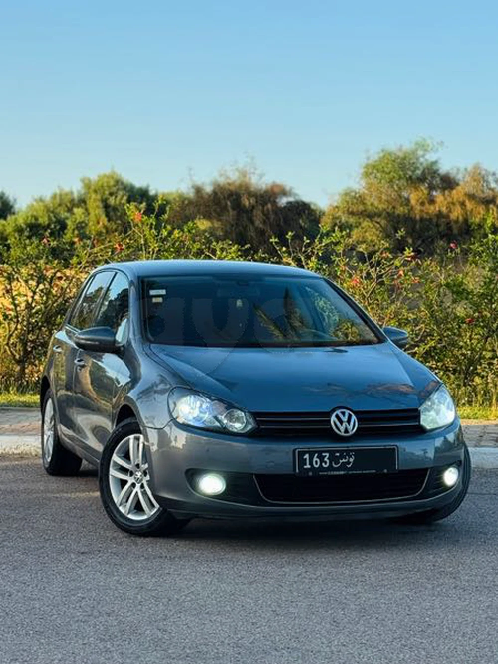 Carte voiture Volkswagen Golf