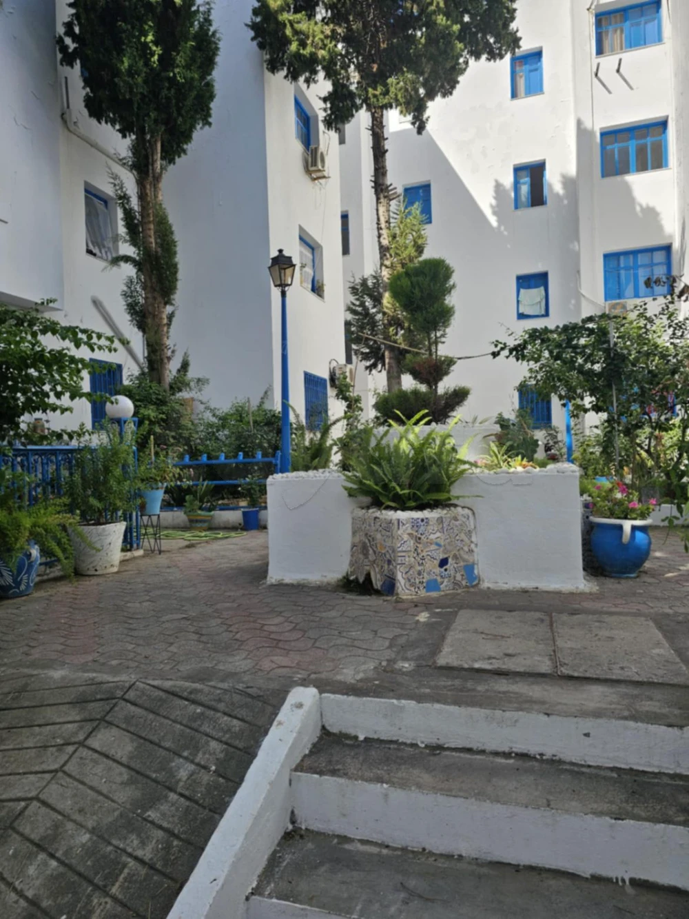 S+2 non meublé à Sidi Bou Said Amilcar