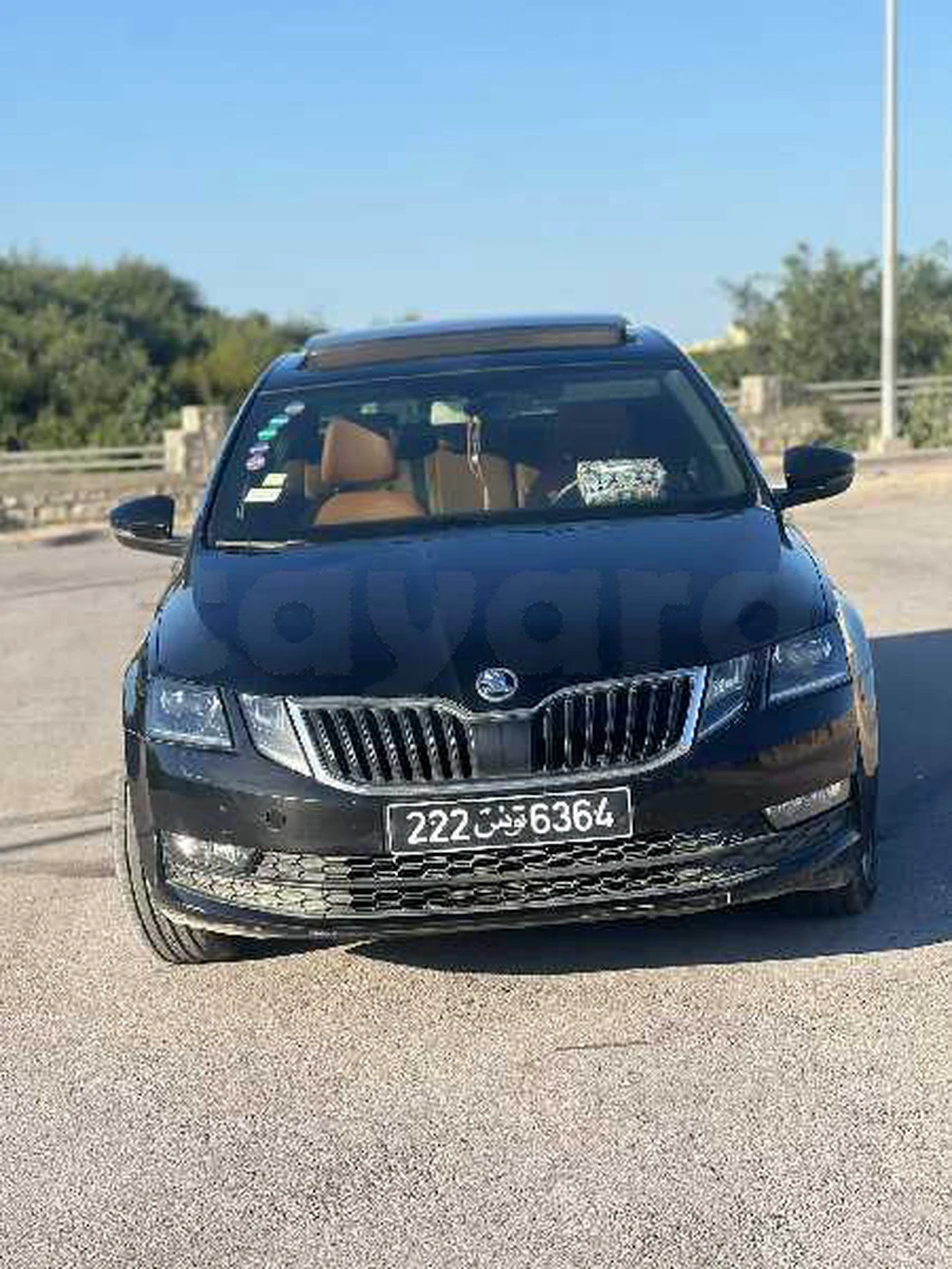 Carte voiture Skoda Octavia