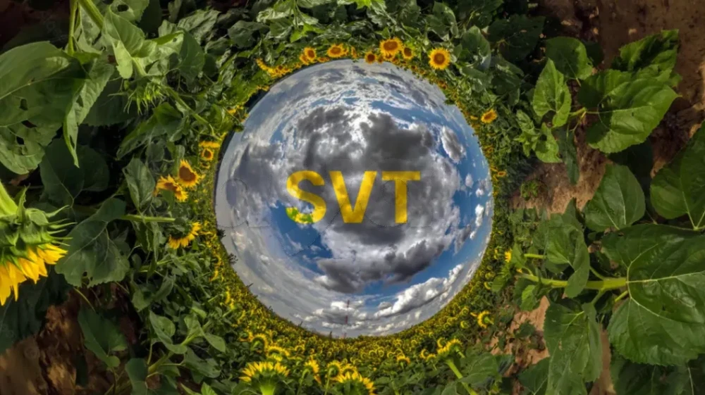 Cours particuliers de SVT – Tous niveaux