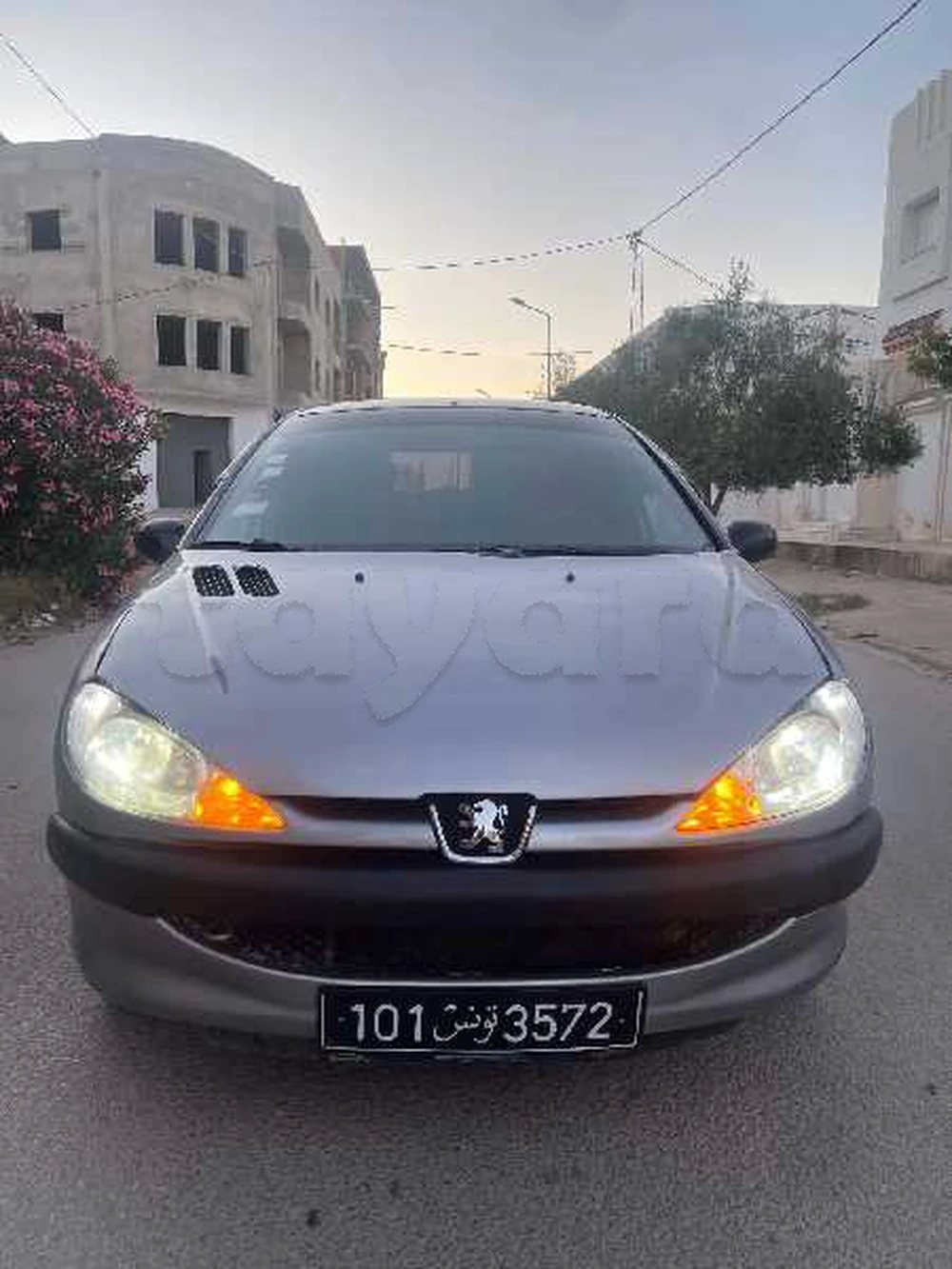 Carte voiture Peugeot 206+