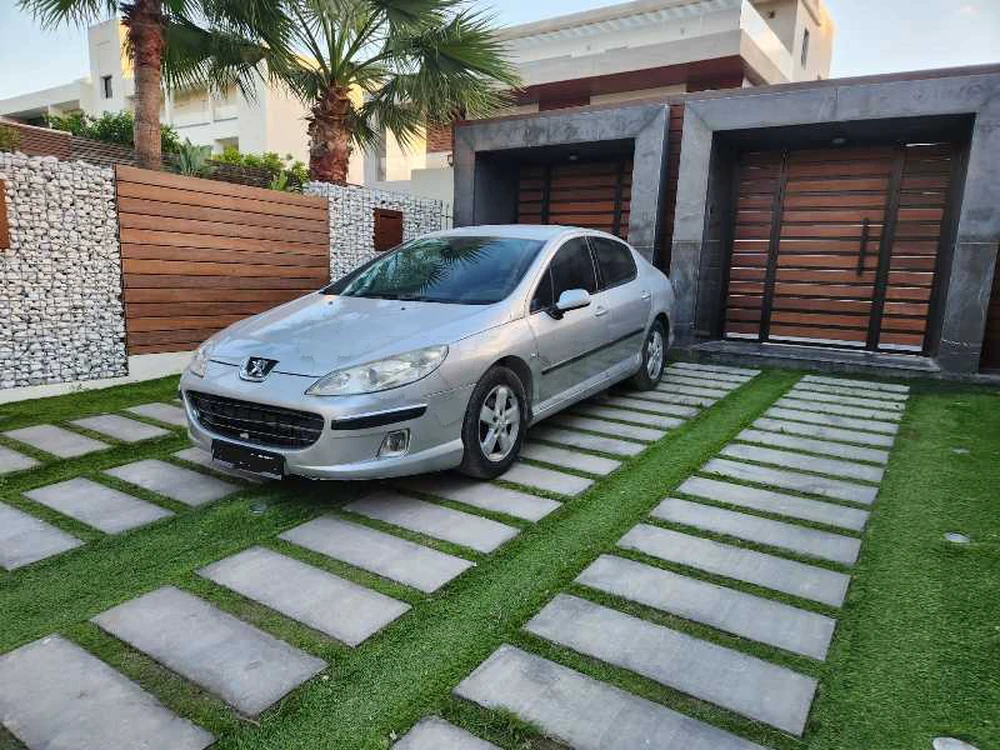 Peugeot 407