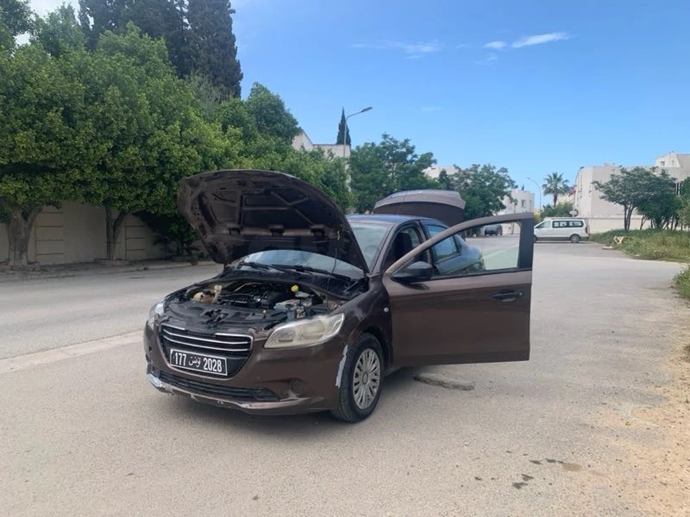 Carte voiture Peugeot 301