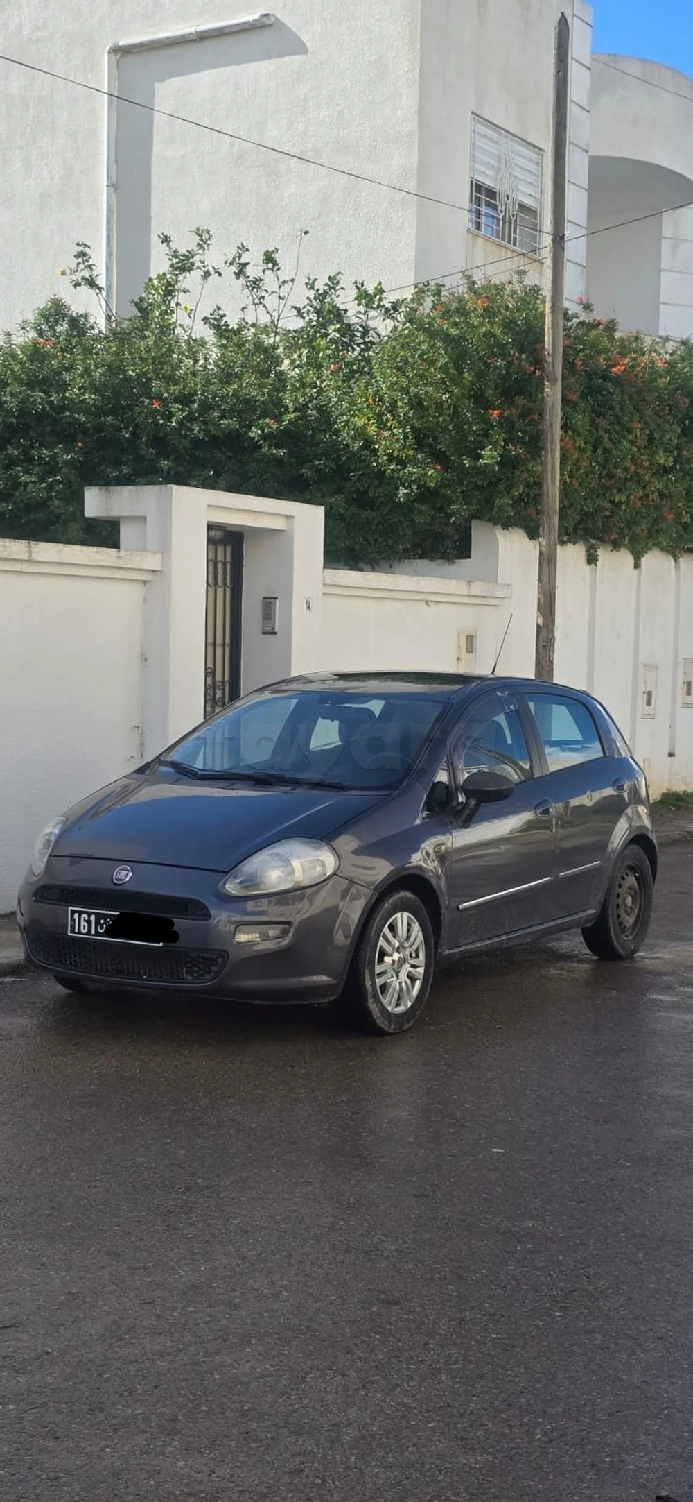 Carte voiture Fiat Punto