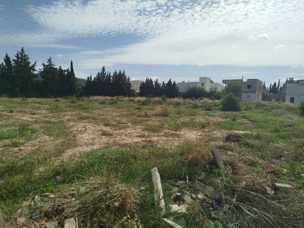 A VENDRE UN TERRAIN A MORNEG PRES PALAIS HABIB BOURGUIBA