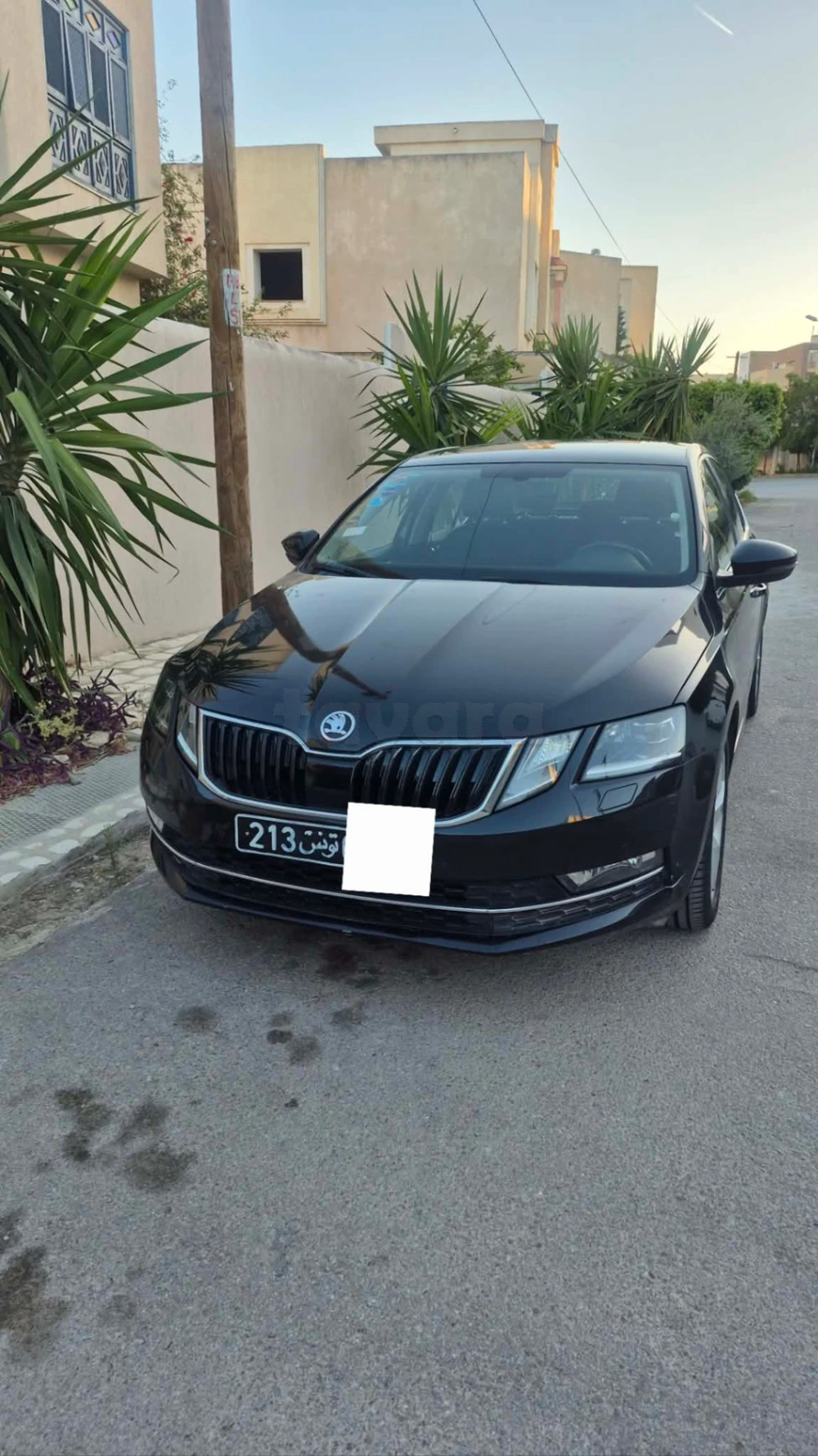 Carte voiture Skoda Octavia