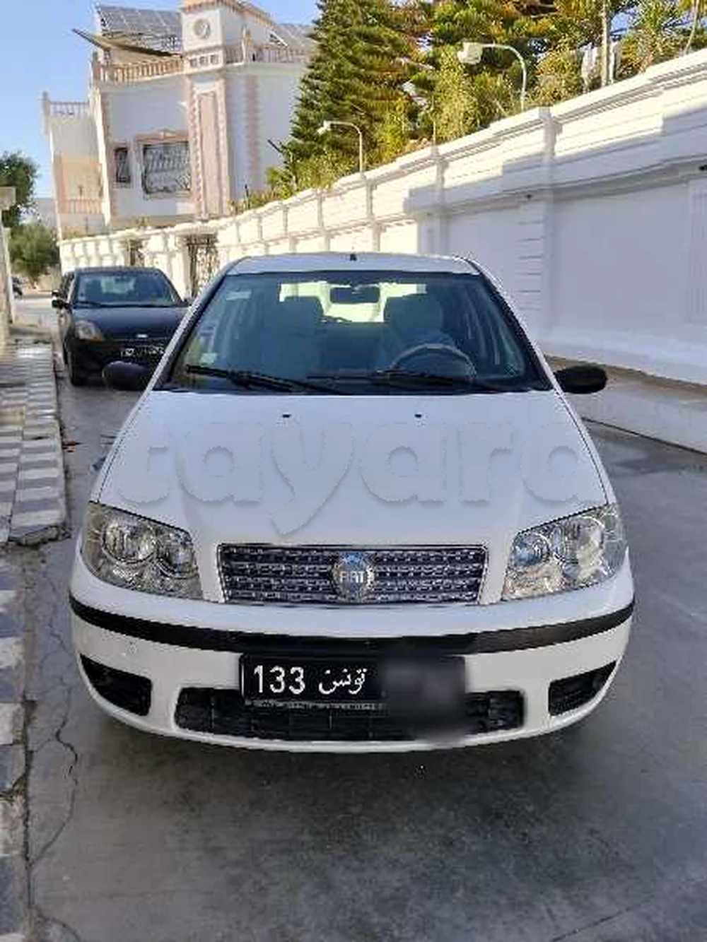 Carte voiture Fiat Punto