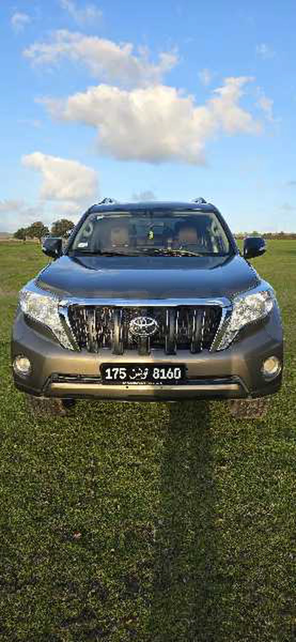 Carte voiture Toyota Prado