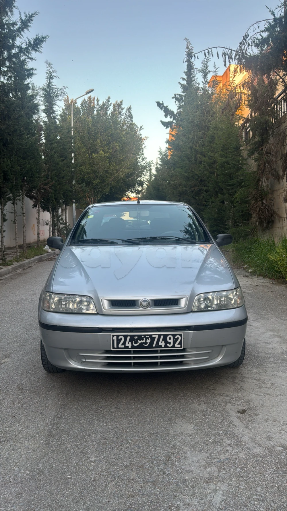 Carte voiture Fiat Palio