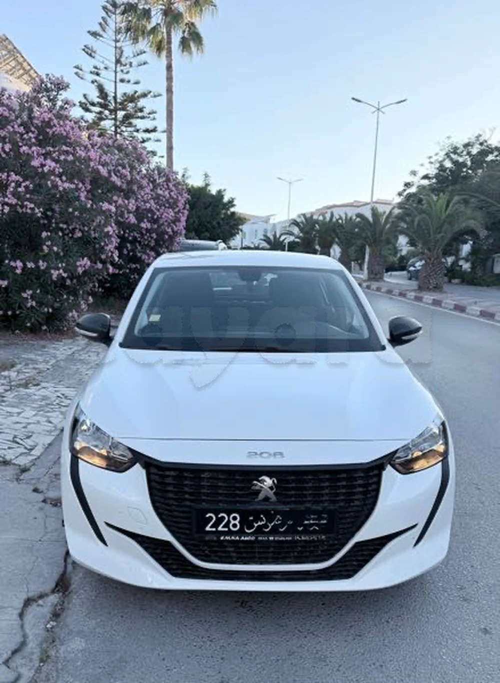Carte voiture Peugeot 208