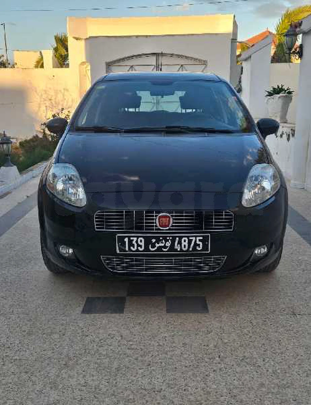 Carte voiture Fiat Punto