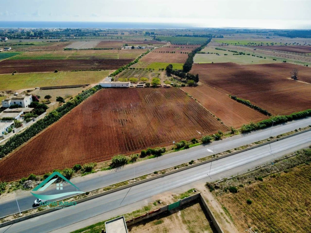 Ferme 10 hectares sur la route principale à Libna