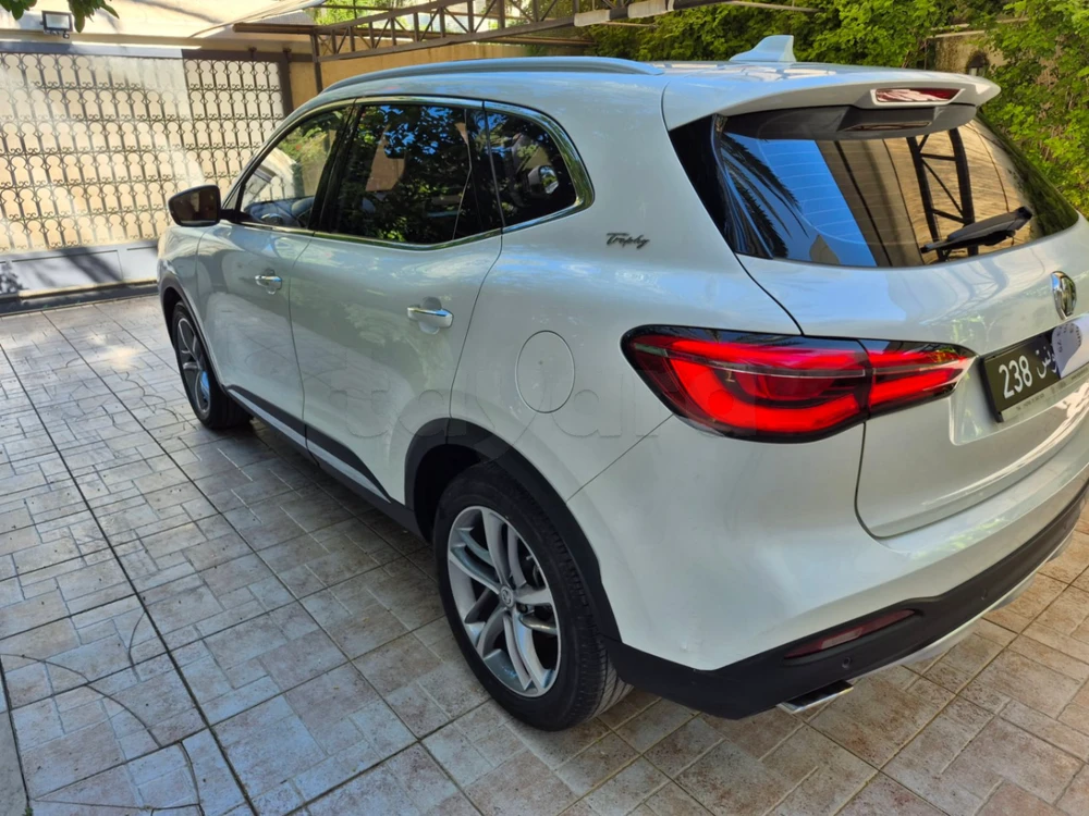 Carte voiture MG HS