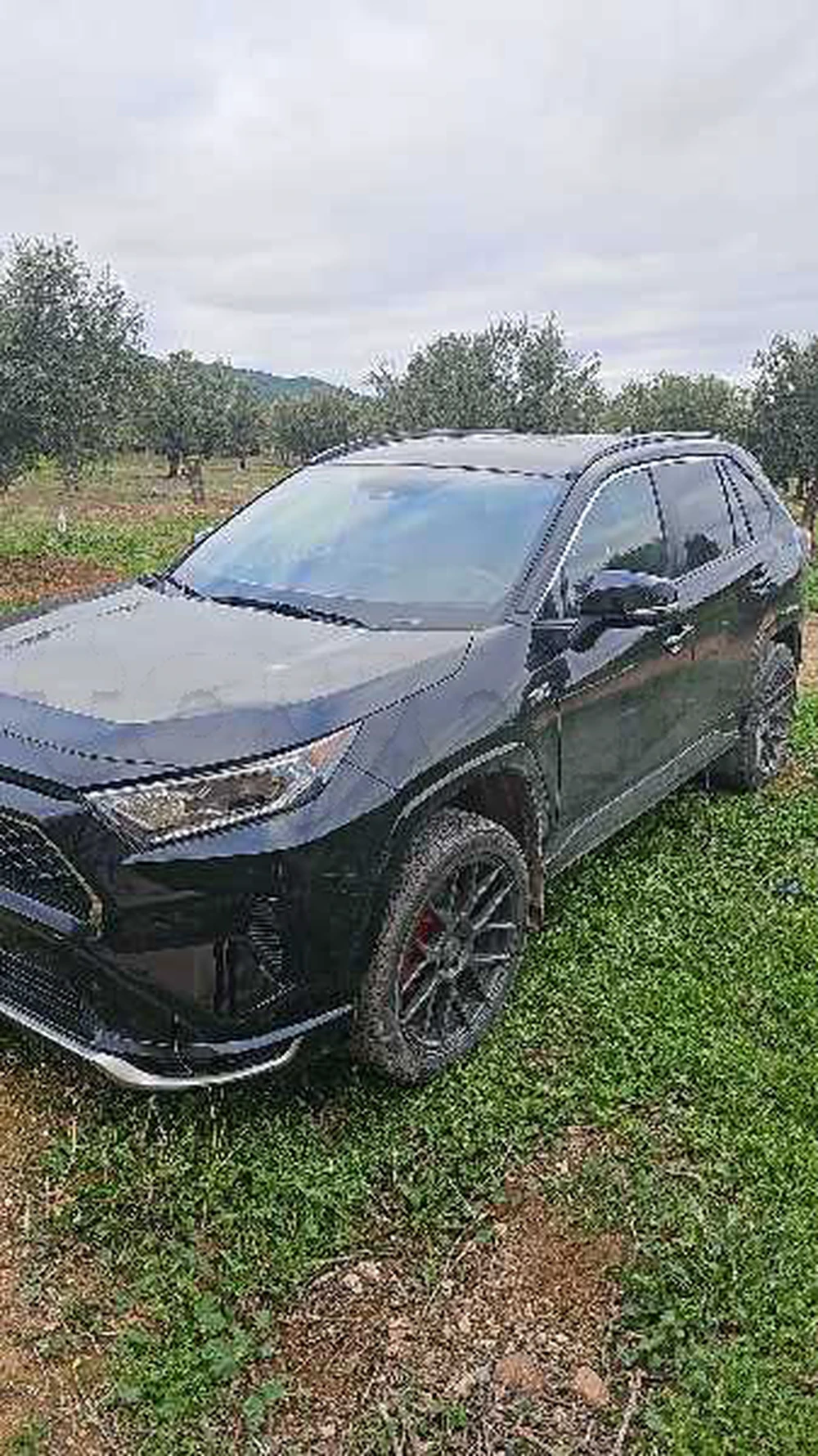 Carte voiture Toyota RAV 4