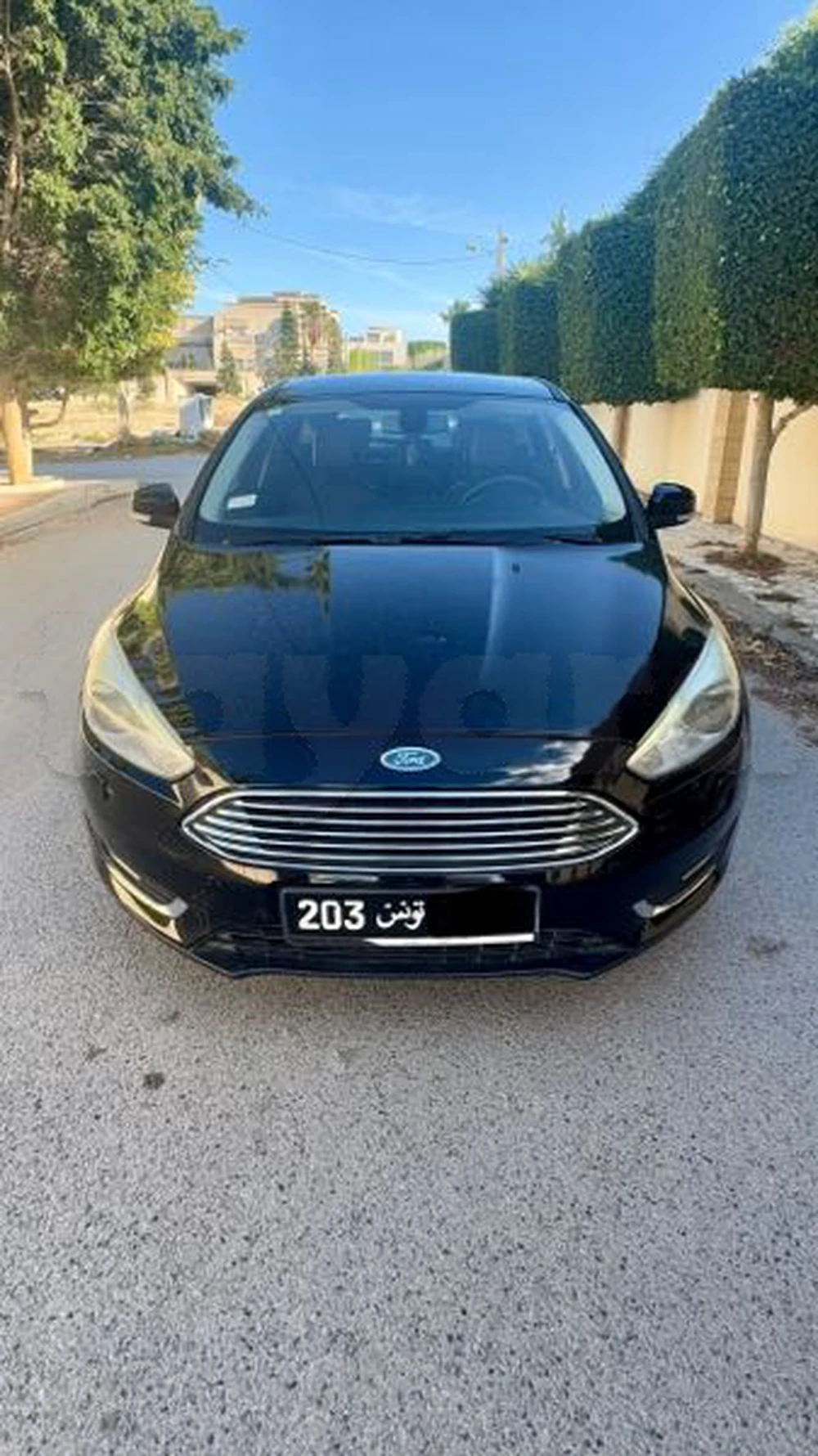 Carte voiture Ford Focus