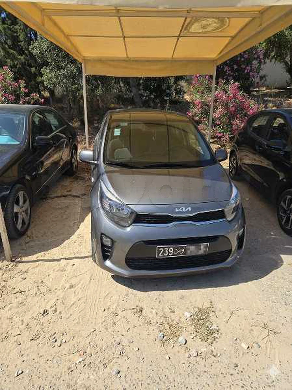 Carte voiture Kia Picanto