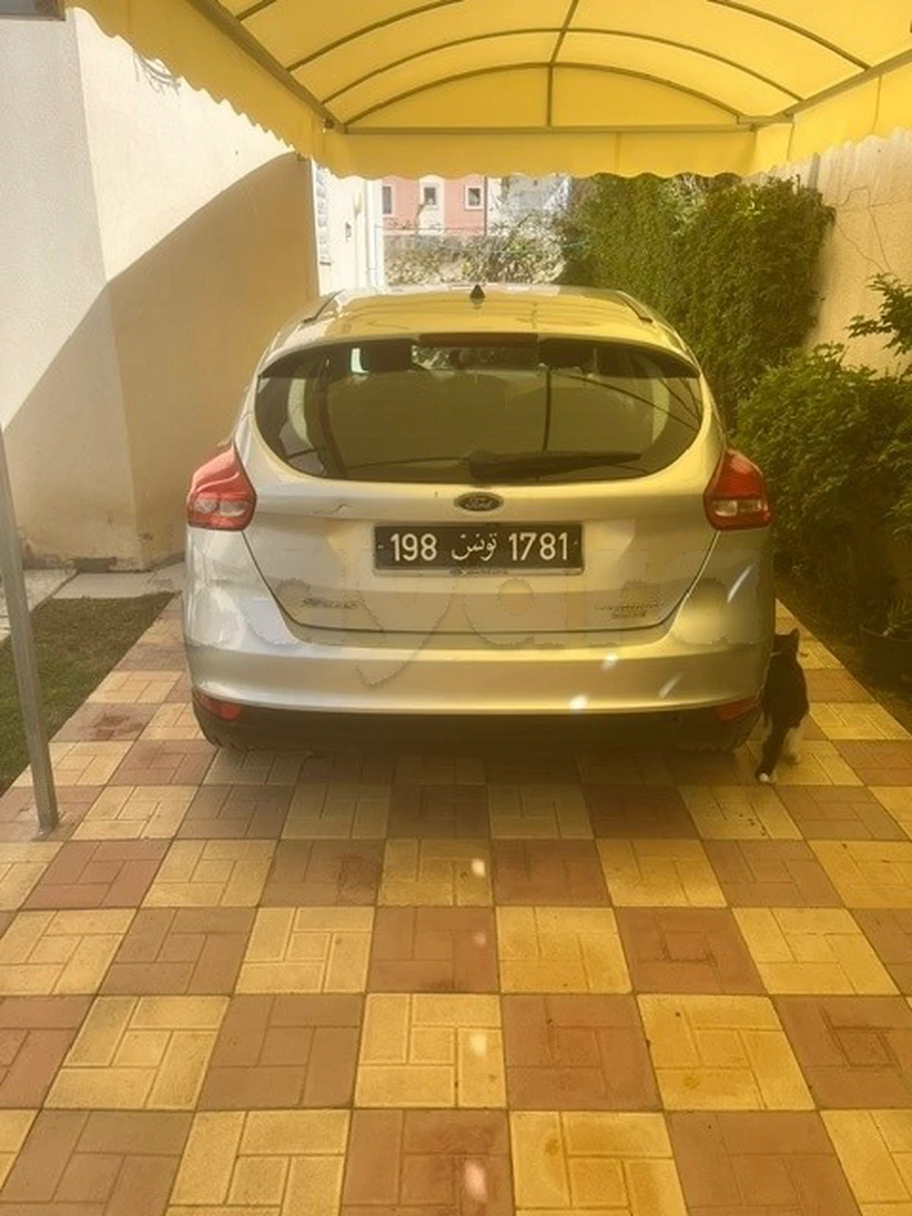 Carte voiture Ford Focus