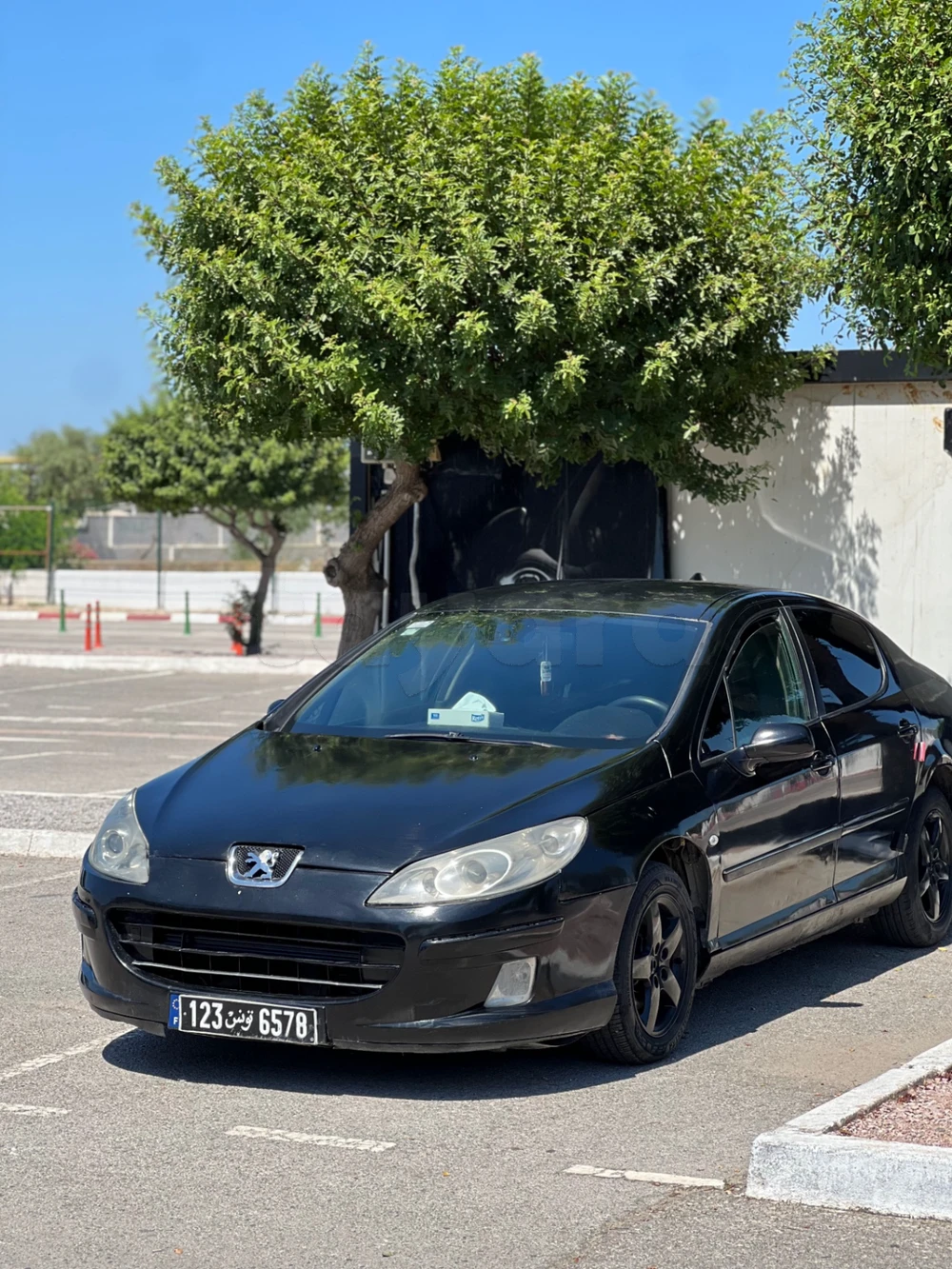 Peugeot 407