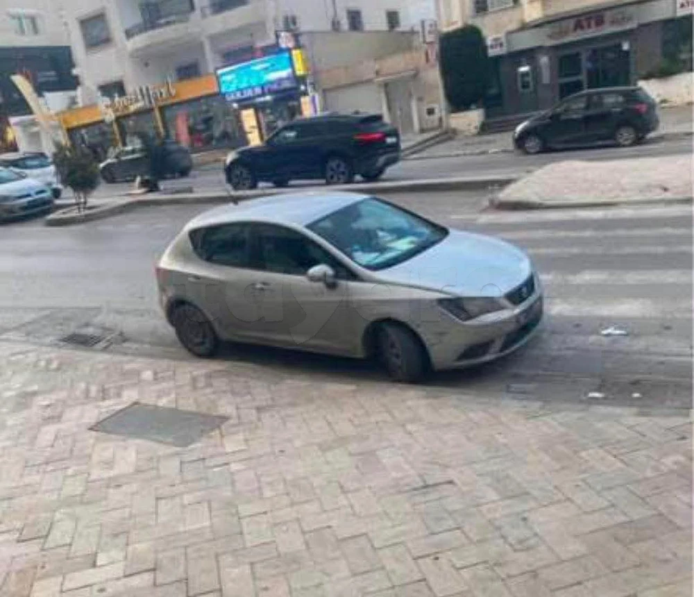 Carte voiture SEAT Ibiza