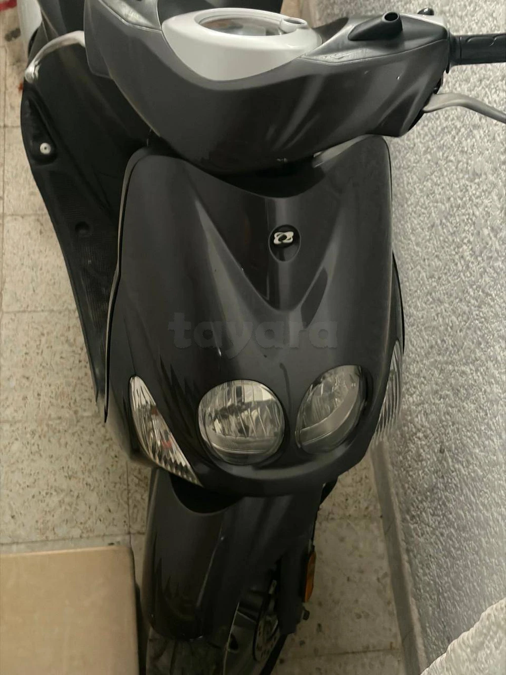 20253246 bizerte
