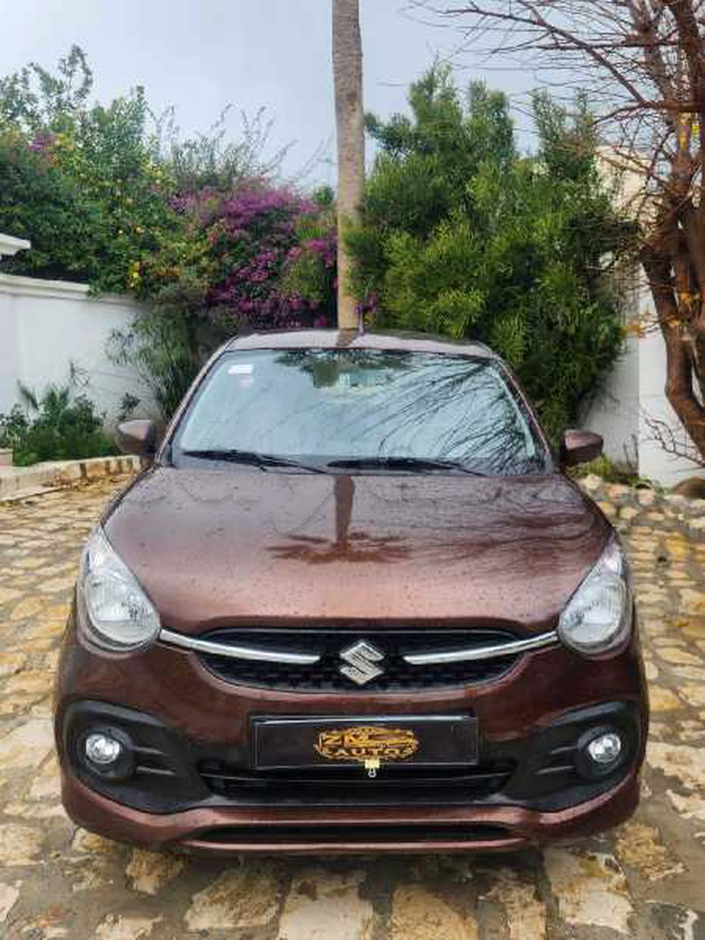 Carte voiture Suzuki Celerio