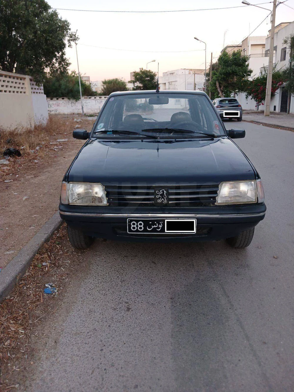 Carte voiture Peugeot 205