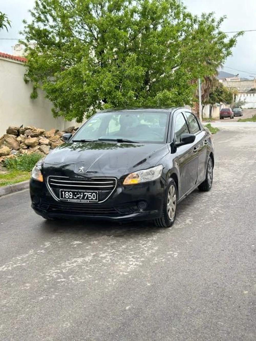 Carte voiture Peugeot 301