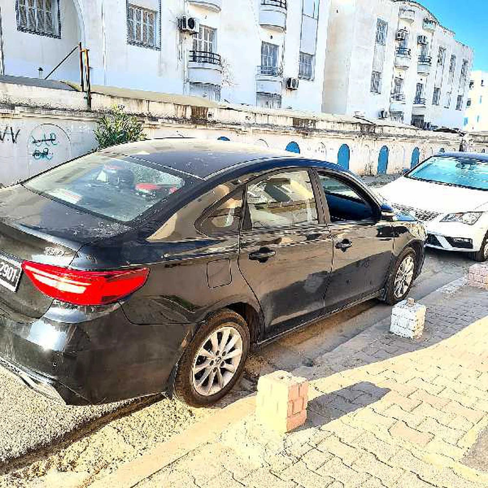 Carte voiture DongFeng S50