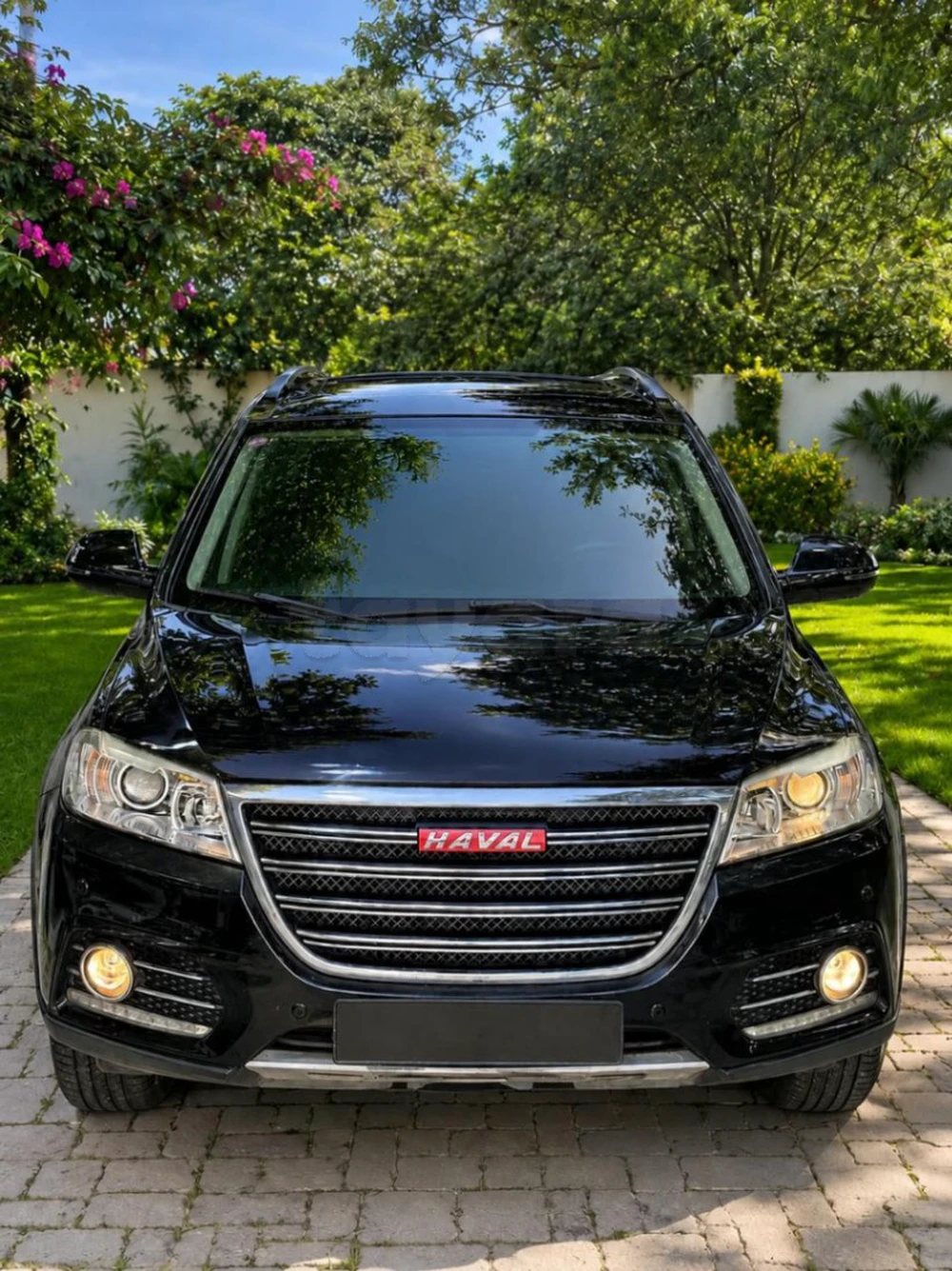 Carte voiture Haval H6