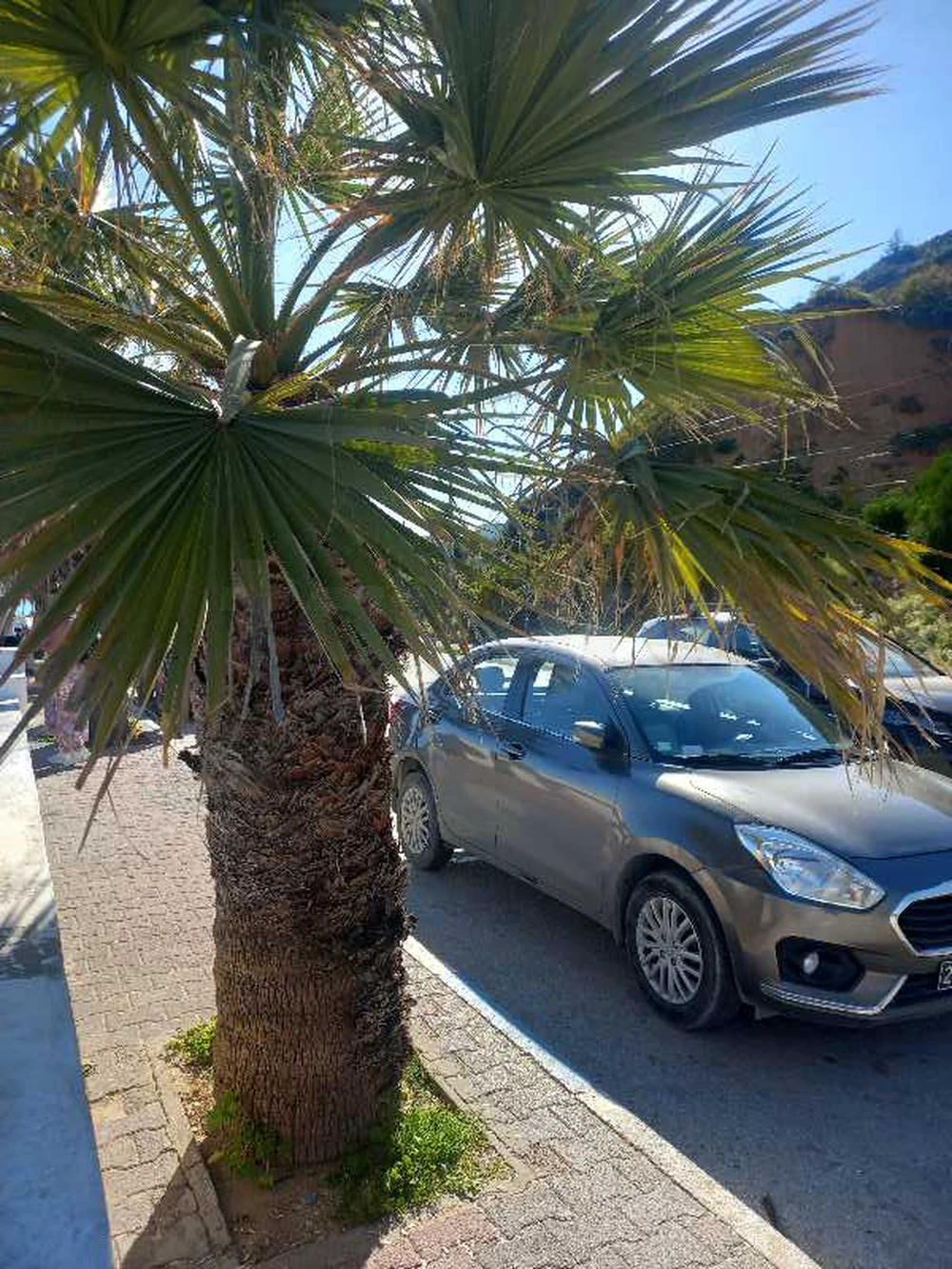 Carte voiture Suzuki Swift