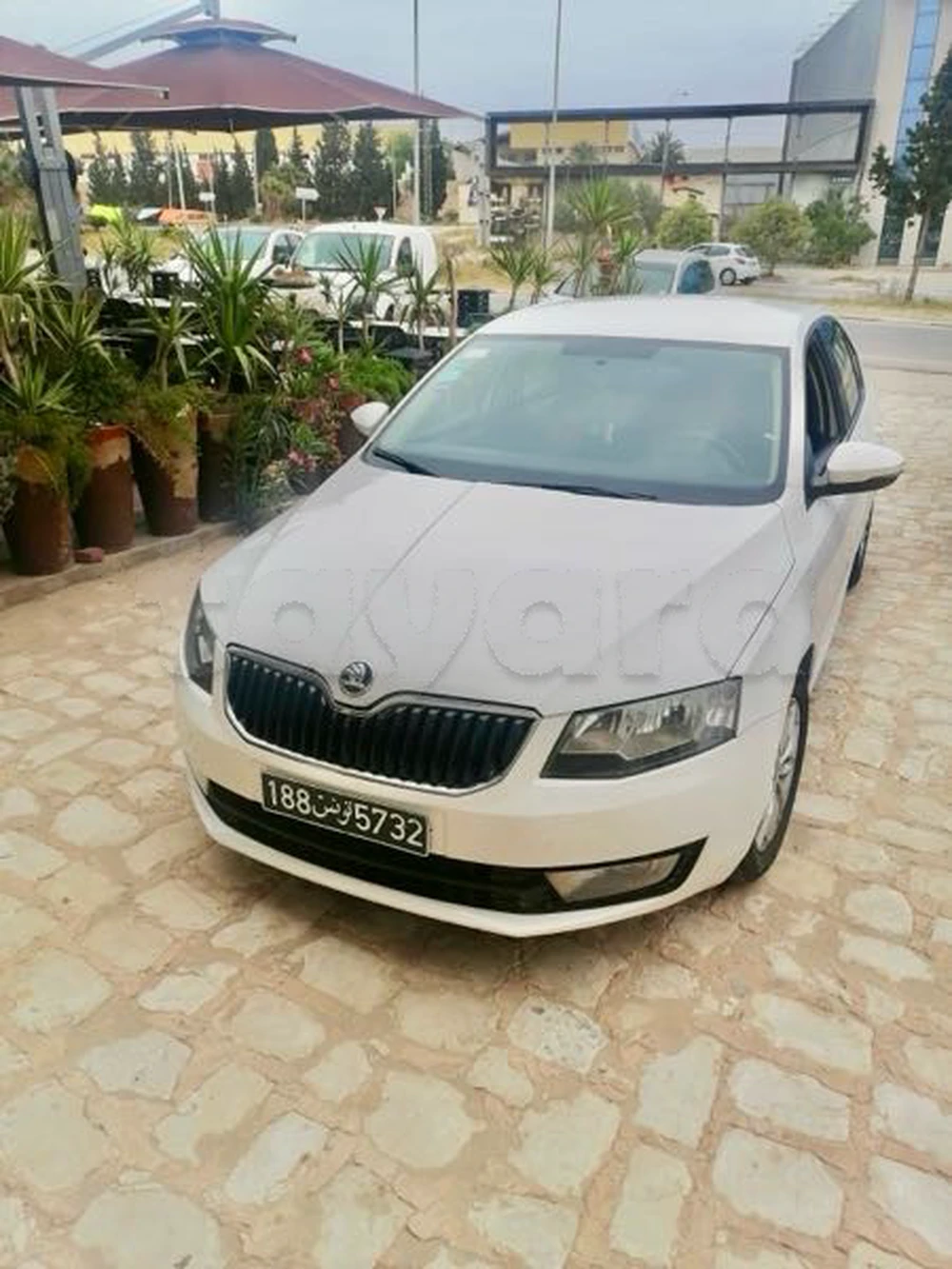 Carte voiture Skoda Octavia