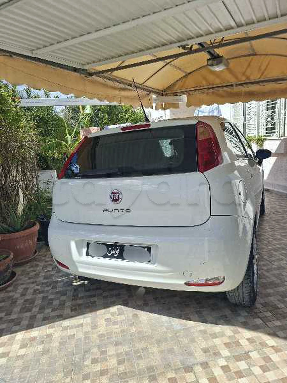 Carte voiture Fiat Punto