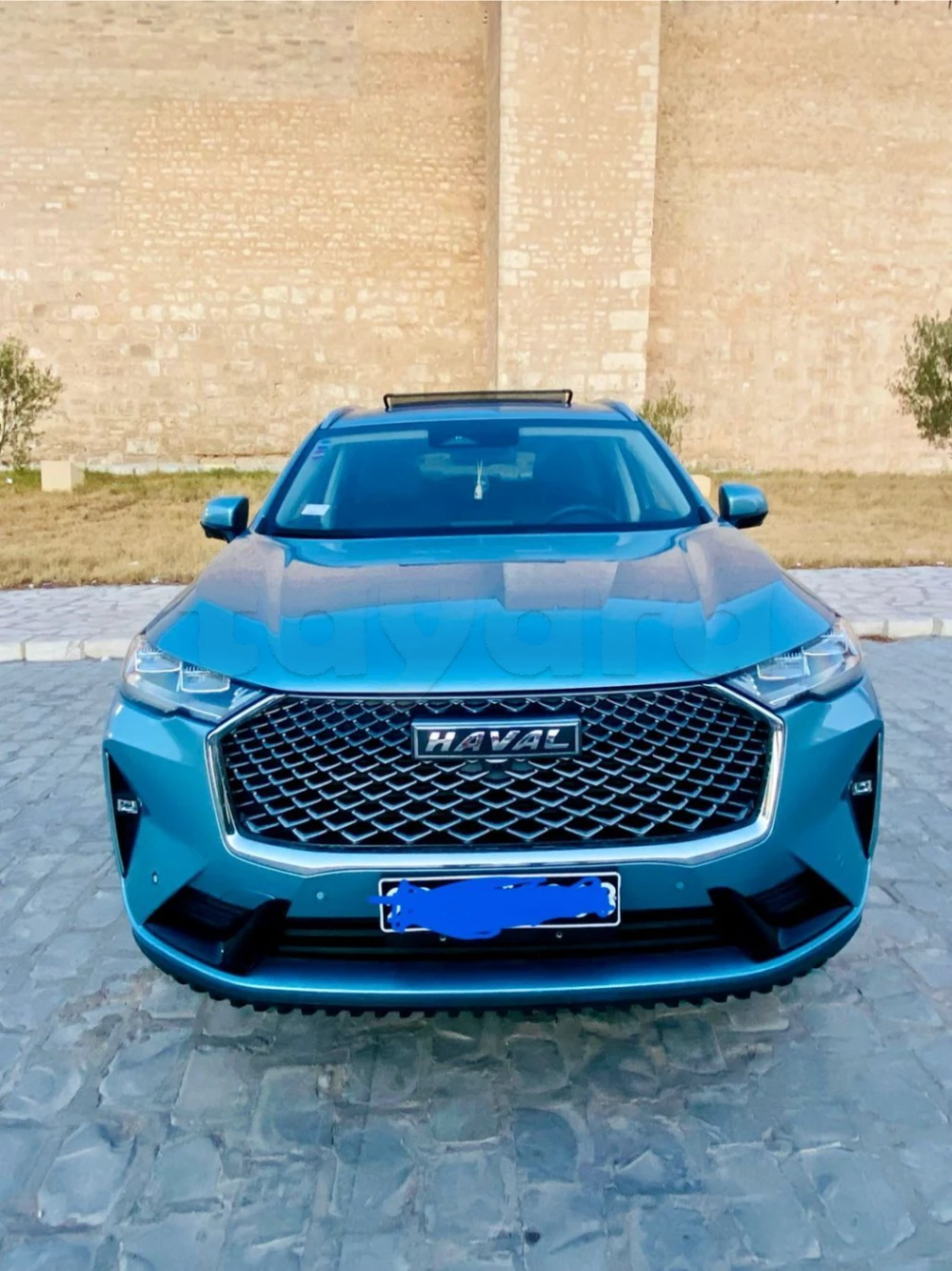 Carte voiture Haval H6