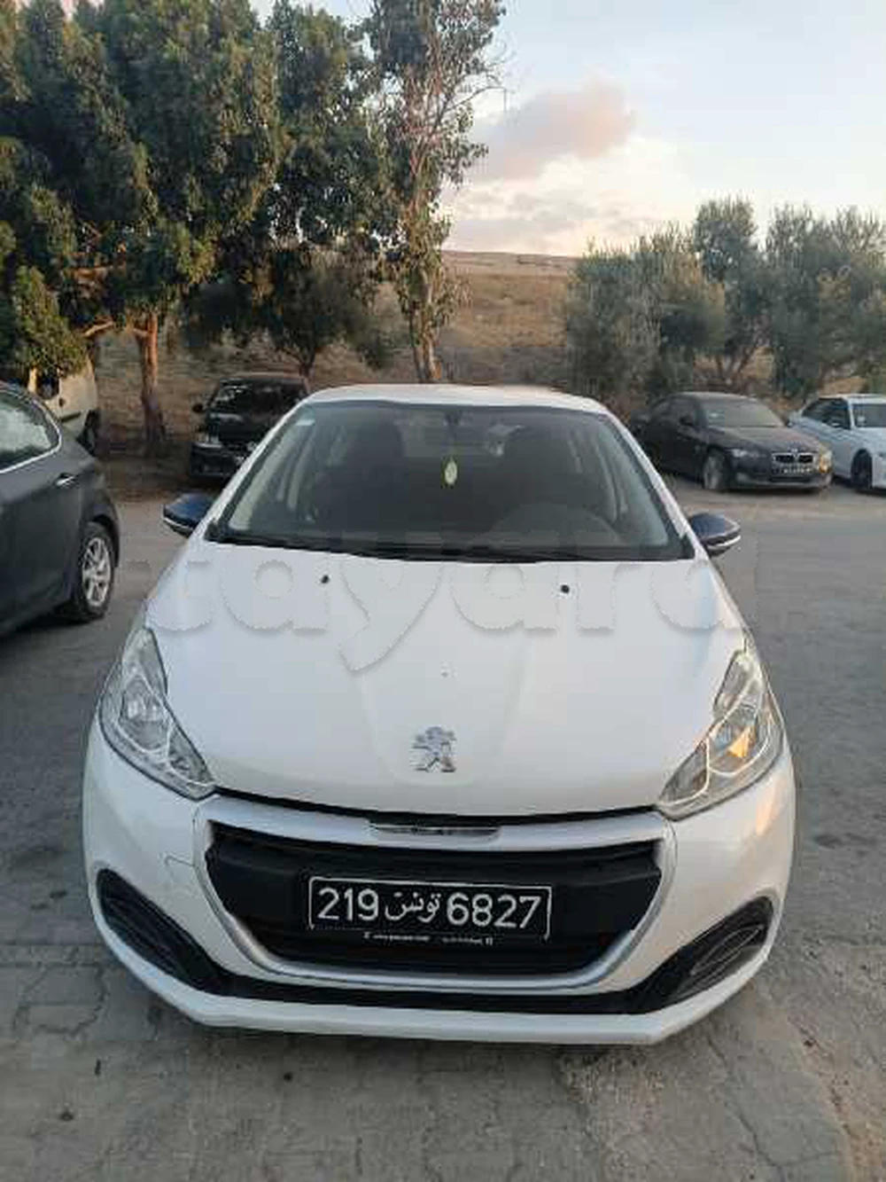 Carte voiture Peugeot 208