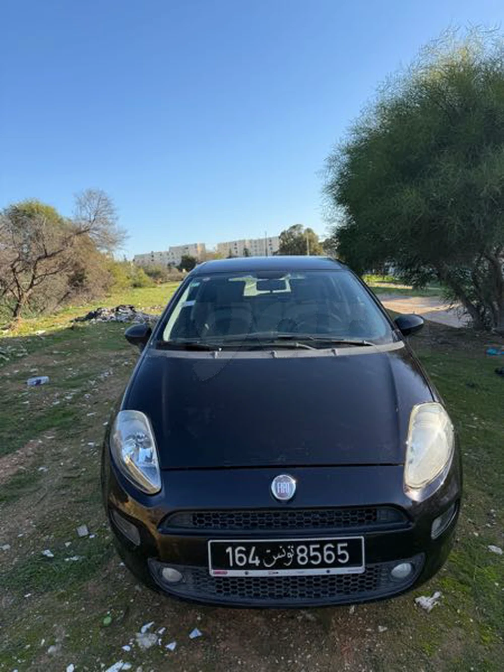 Carte voiture Fiat Grande Punto