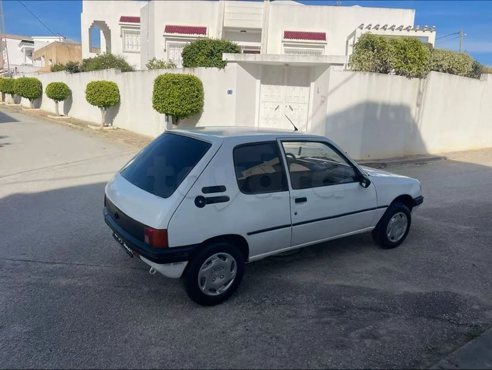 Carte voiture Peugeot 205